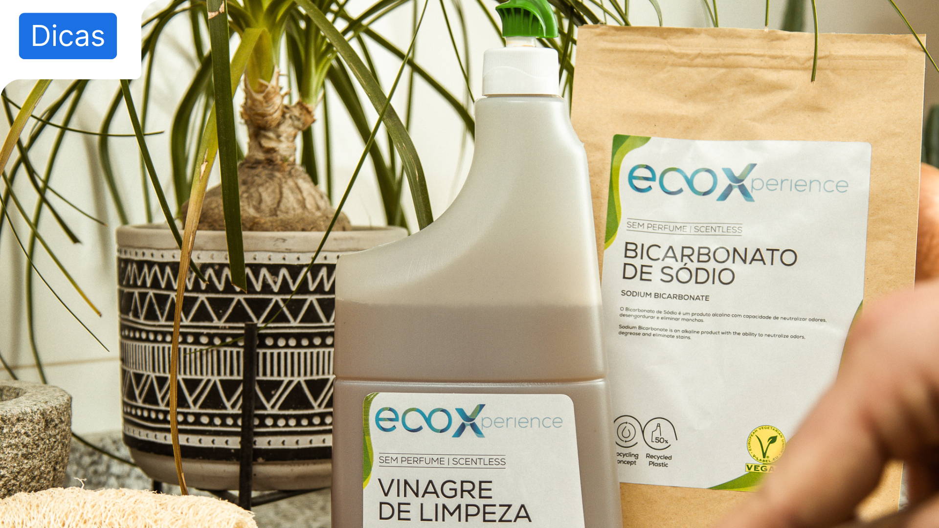 Como limpar com Bicarbonato de Sódio: 7 "receitas"