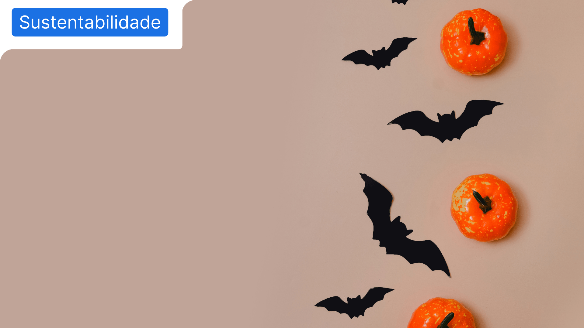 Imagem com abóboras e morcegos num halloween sustentável