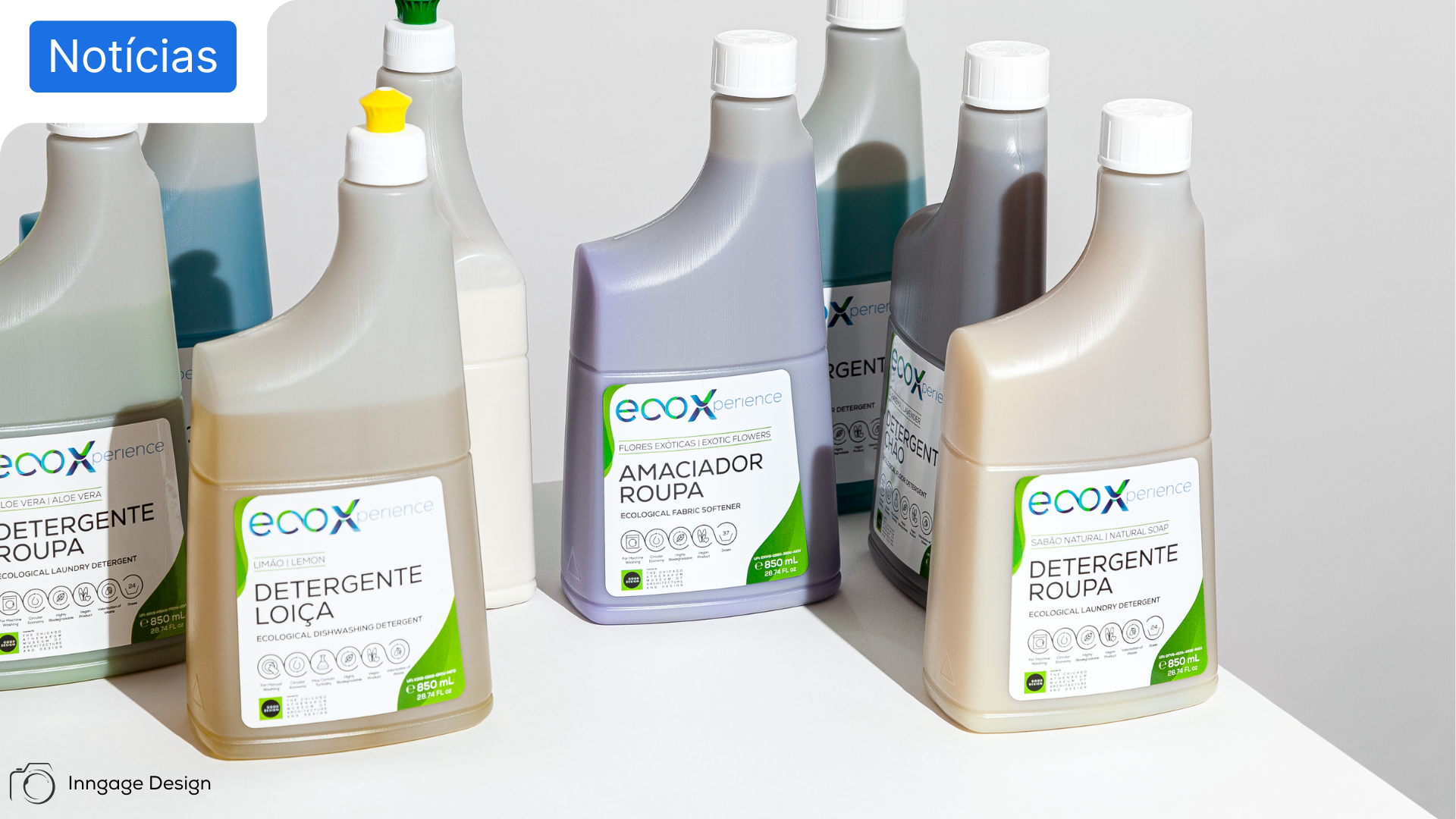 EcoXperience transforma óleos alimentares usados em detergentes ecológicos