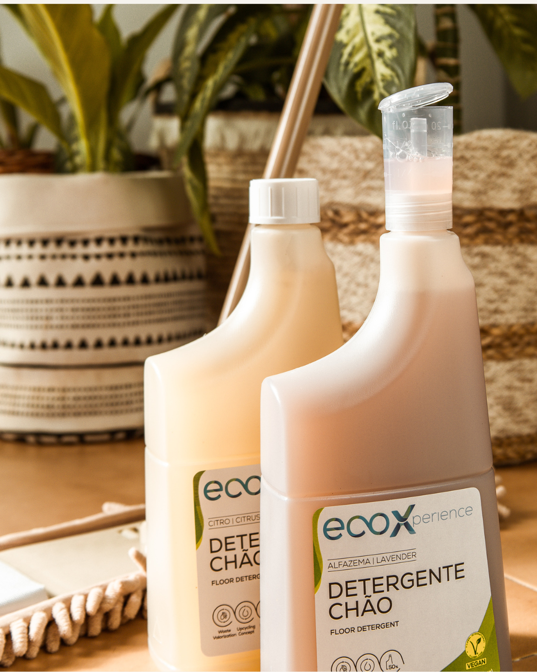 Embalagem de detergente chão EcoX ao lado de um vaso
