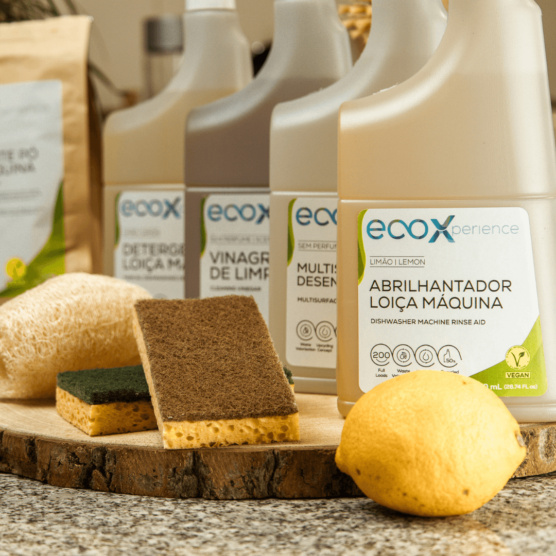 Esponja da loiça ao lado dos detergentes EcoX