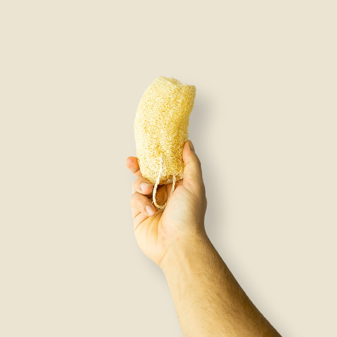 Mão a segurar na lufa EcoX