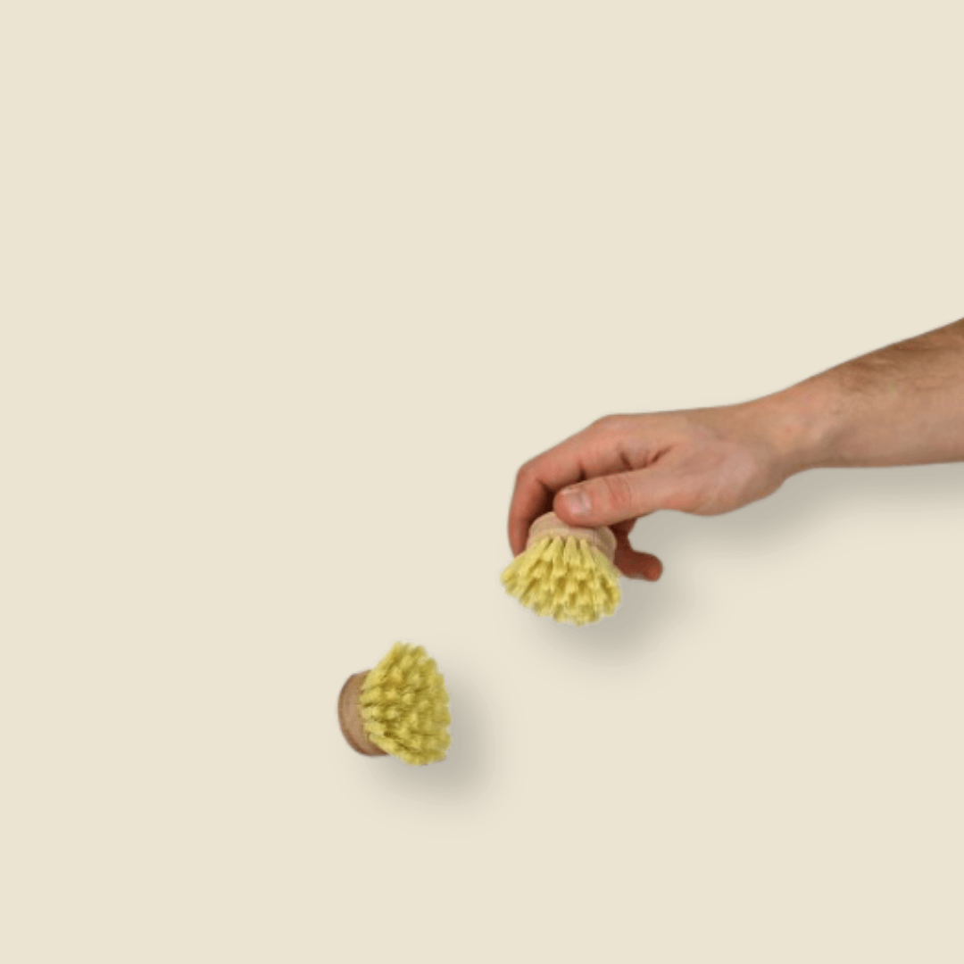 Mão a segurar na Recarga para escova de madeira EcoX