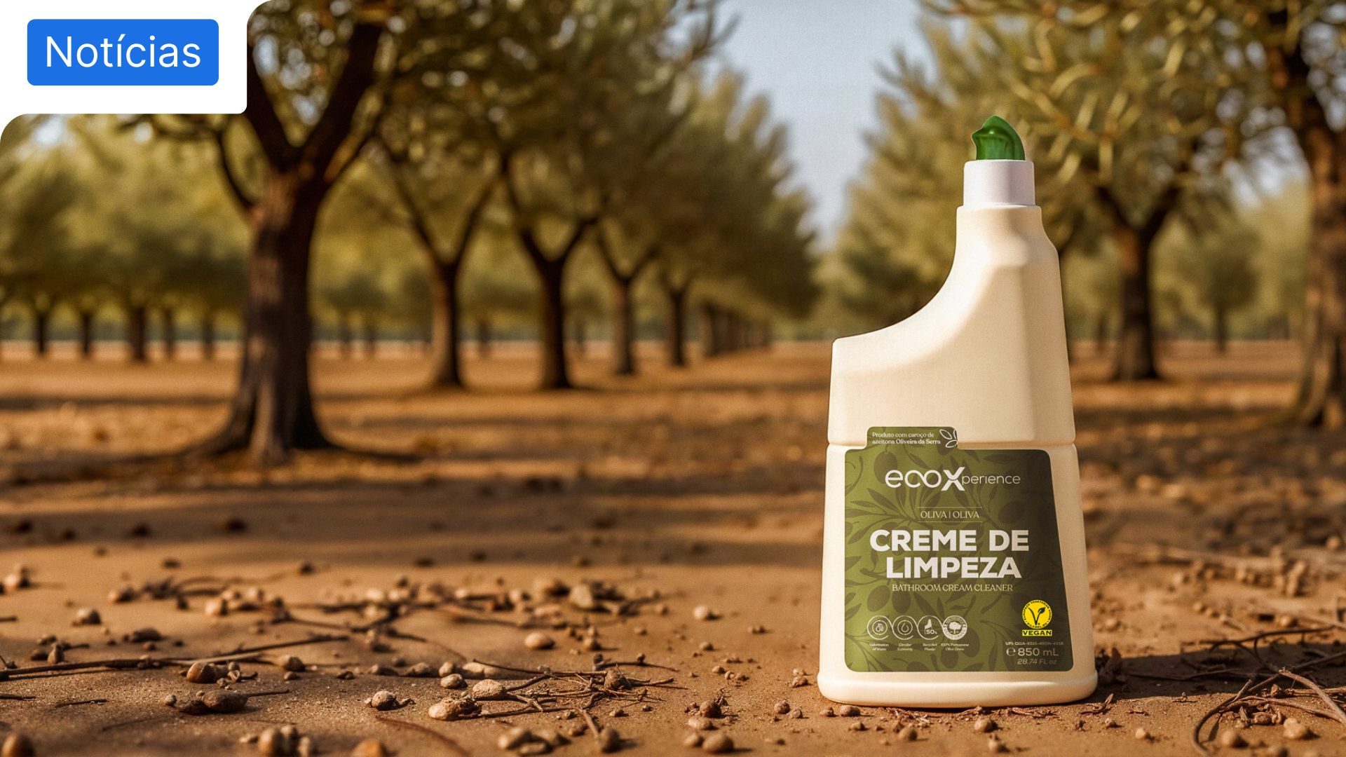 Caroço de azeitona transformado em creme de limpeza inovador