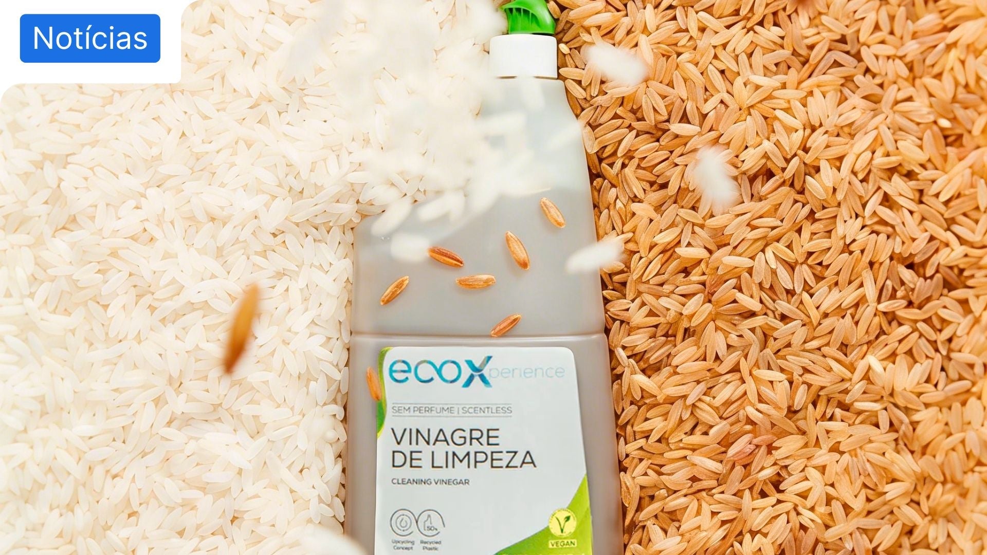 EcoX lança detergente inovador feito a partir de arroz biológico