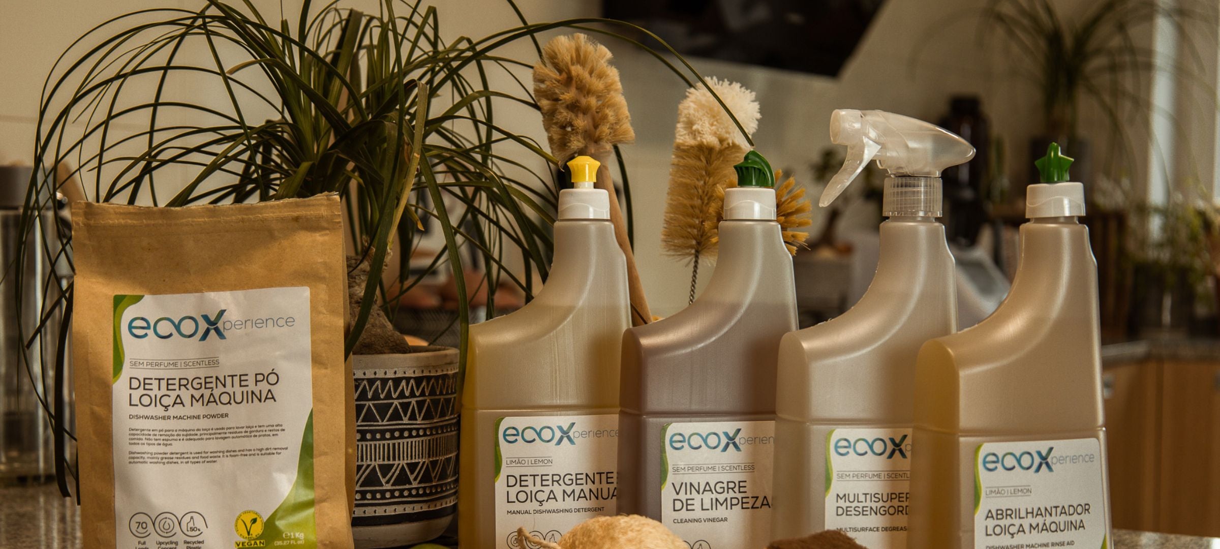 Detergentes ecológicos EcoX
