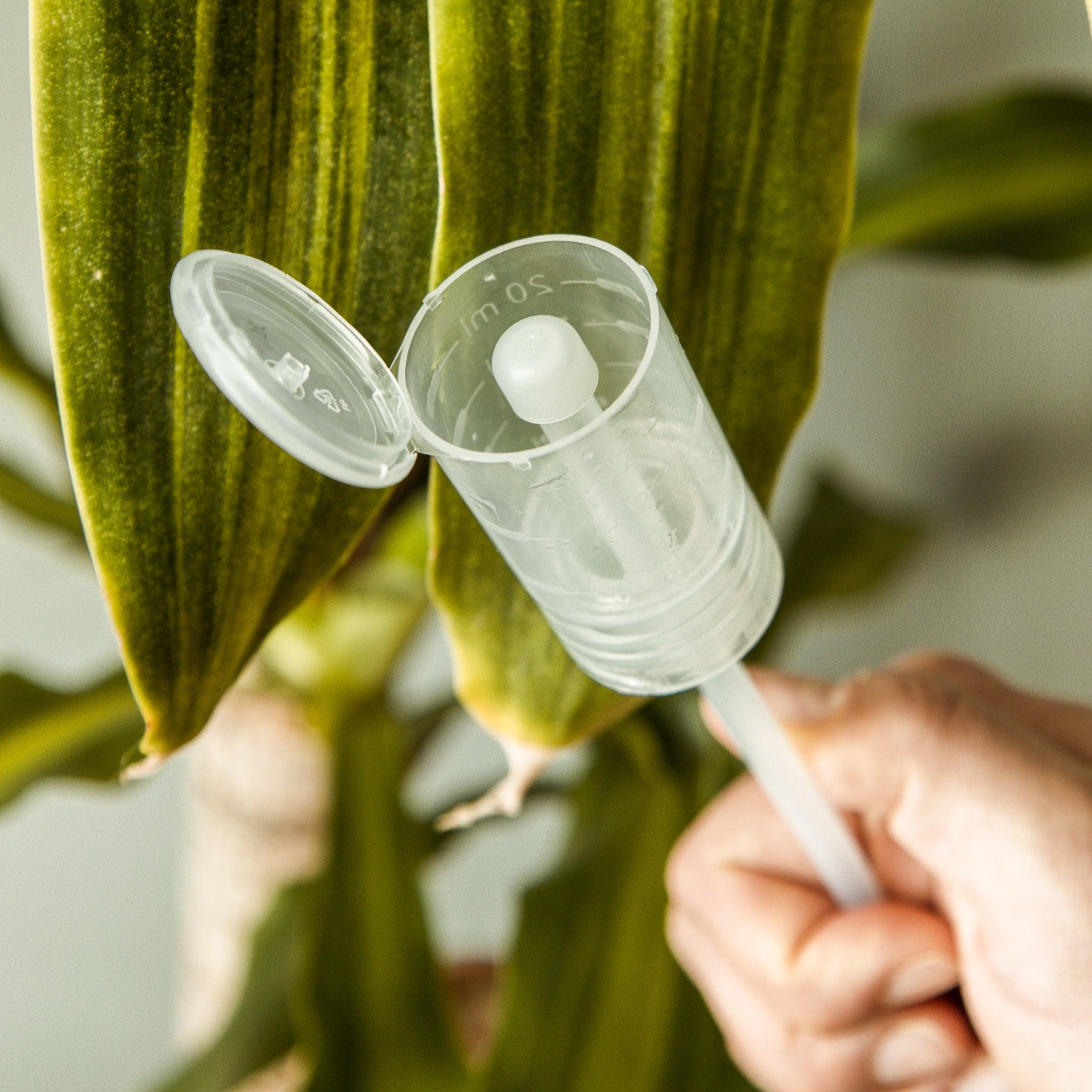 Mão a segurar doseador de detergente EcoX