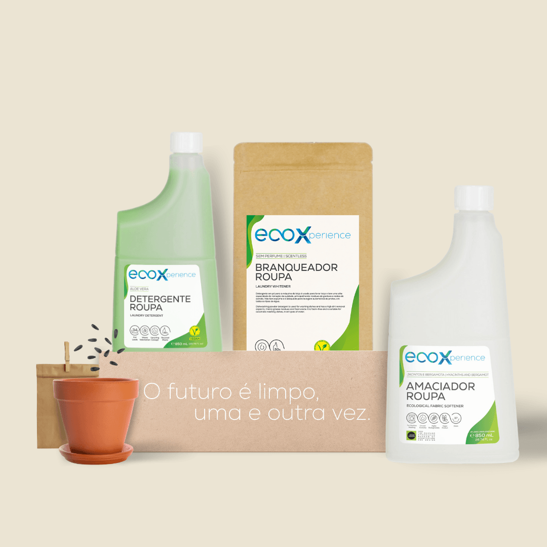 Kit influencer com detergentes EcoX e sementes de girassol